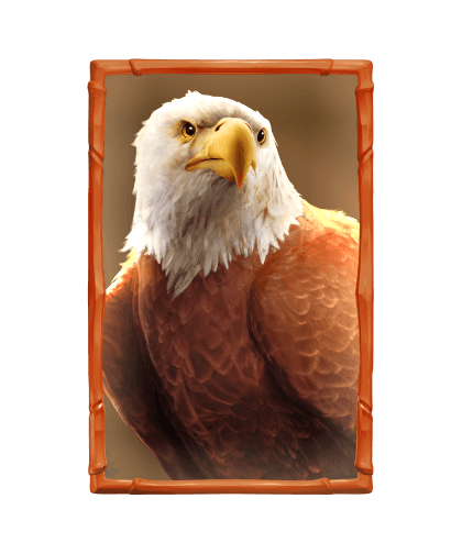 bufallo-win_h_eagle_c