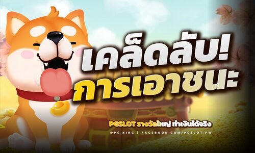 เคล็ดลับการเอาชนะ PGSLOT รางใหญ่ทำเงินได้จริง