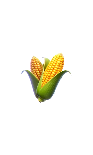 h2-Farmstead-Fortune